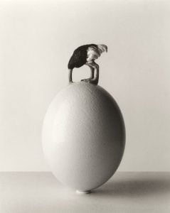97086