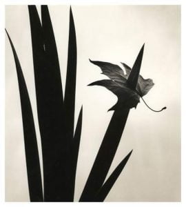 chema-madoz-a-photographer-of-few-words-L-7UhNfo