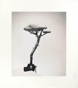 madoz_chema-sin_título_bonsai-OM604300-10245_20120508_372_838