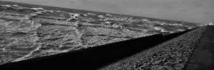 images (11)