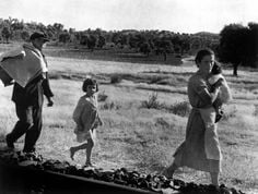 62f6b9a6dce830acf16cc90ea3e4c83f--robert-capa-robert-richard