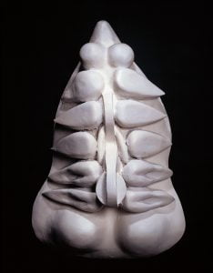 Torso