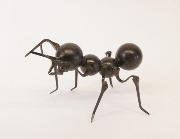 Forging ants