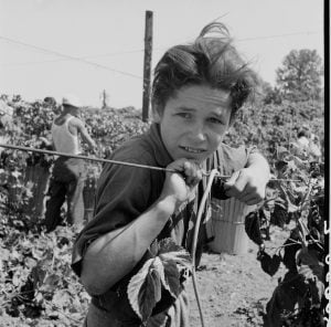 dorothea-lange-photography-large-1