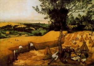 1565. La cosecha del trigo.