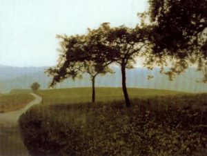 1987. Paisaje.