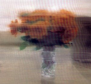 1994. Rosas.