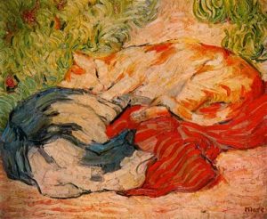 1909-10. Gatos.