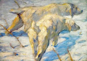 1909-1910. Perros siberianos en la nieve.