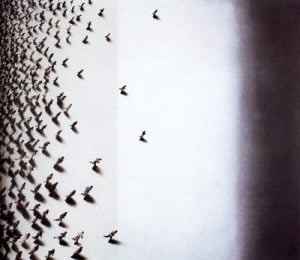 2000. Secuencias 97.