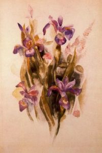 1918. Delphinium. Acuarela sobre papel.
