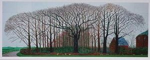 Bigger_Trees_near_Warter, donado a la Tate de Londres.