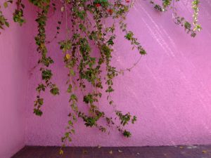 muro