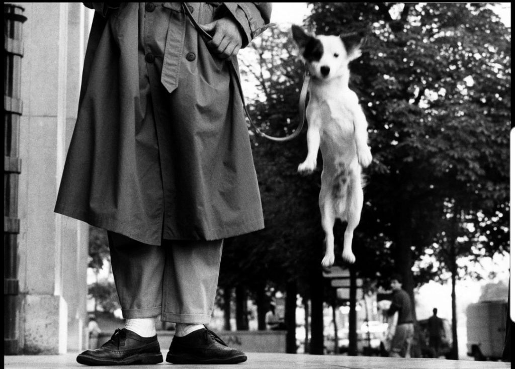 Elliott Erwitt para blog de milartienda.com
